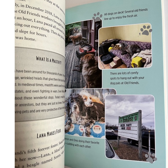 Homecoming Tales Old Friends Senior Dog Sanctuary Book - Picture 4 of 4